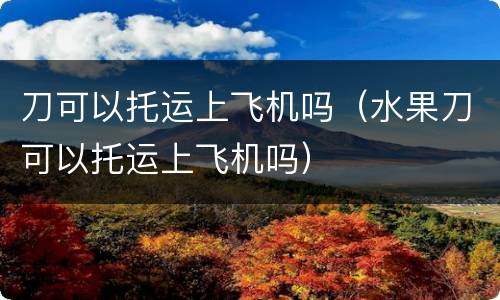 刀可以托运上飞机吗（水果刀可以托运上飞机吗）