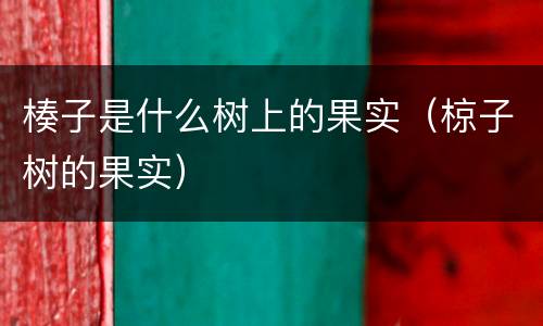 楱子是什么树上的果实（椋子树的果实）