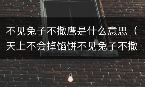 不见兔子不撒鹰是什么意思（天上不会掉馅饼不见兔子不撒鹰是什么意思）