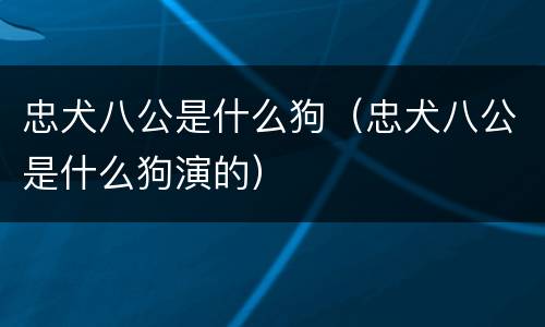 忠犬八公是什么狗（忠犬八公是什么狗演的）