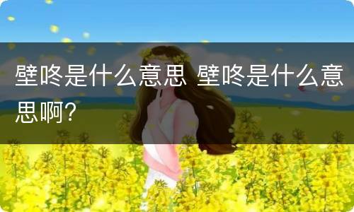 壁咚是什么意思 壁咚是什么意思啊?