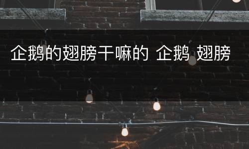 企鹅的翅膀干嘛的 企鹅 翅膀