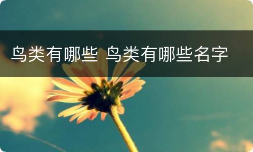 鸟类有哪些 鸟类有哪些名字