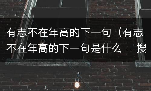 有志不在年高的下一句（有志不在年高的下一句是什么 - 搜狗问问）