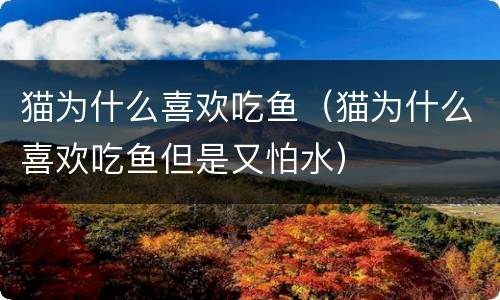 猫为什么喜欢吃鱼（猫为什么喜欢吃鱼但是又怕水）