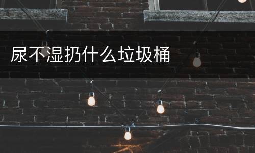 尿不湿扔什么垃圾桶