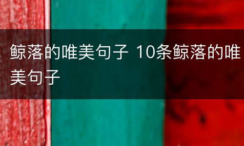 鲸落的唯美句子 10条鲸落的唯美句子