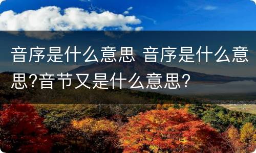 音序是什么意思 音序是什么意思?音节又是什么意思?