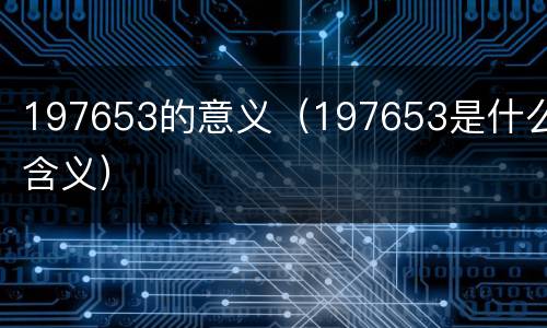 197653的意义（197653是什么含义）