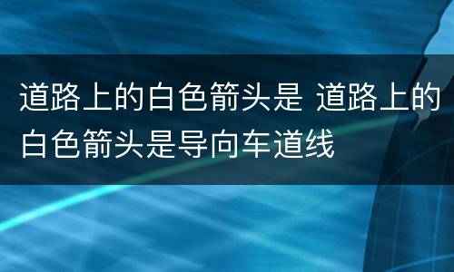 道路上的白色箭头是 道路上的白色箭头是导向车道线