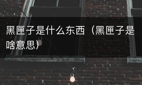 黑匣子是什么东西（黑匣子是啥意思）