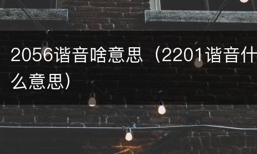 2056谐音啥意思（2201谐音什么意思）
