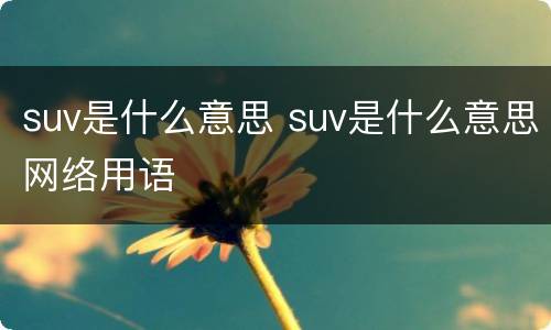 suv是什么意思 suv是什么意思网络用语