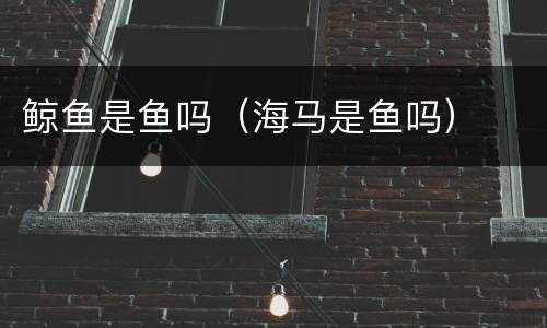 鲸鱼是鱼吗（海马是鱼吗）