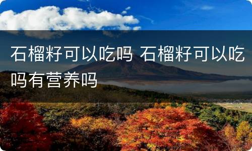 石榴籽可以吃吗 石榴籽可以吃吗有营养吗