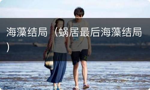 海藻结局（蜗居最后海藻结局）