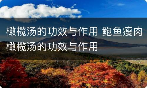 橄榄汤的功效与作用 鲍鱼瘦肉橄榄汤的功效与作用