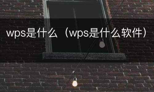 wps是什么（wps是什么软件）
