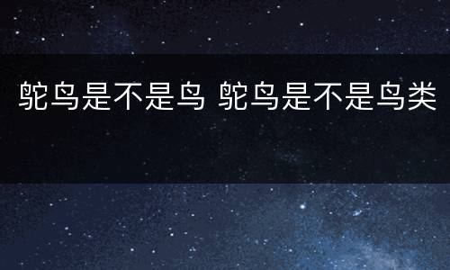 鸵鸟是不是鸟 鸵鸟是不是鸟类