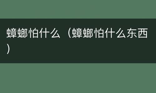 蟑螂怕什么（蟑螂怕什么东西）