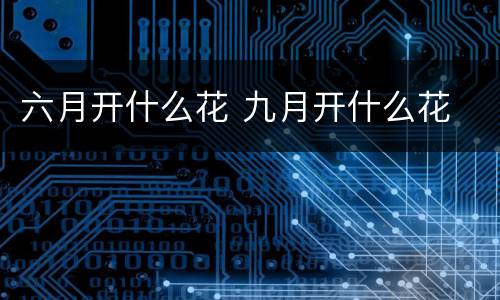 六月开什么花 九月开什么花
