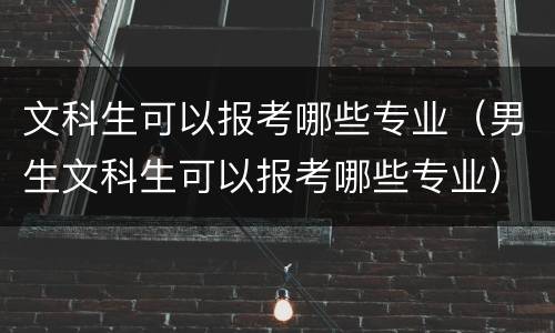 文科生可以报考哪些专业（男生文科生可以报考哪些专业）