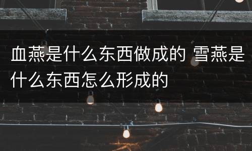 血燕是什么东西做成的 雪燕是什么东西怎么形成的