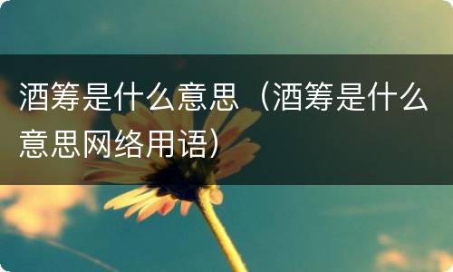 酒筹是什么意思（酒筹是什么意思网络用语）