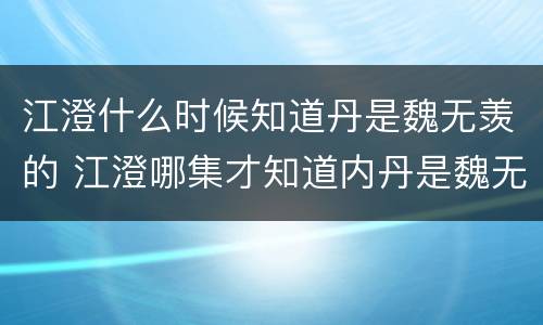 江澄什么时候知道丹是魏无羡的 江澄哪集才知道内丹是魏无羡的
