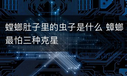 螳螂肚子里的虫子是什么 蟑螂最怕三种克星
