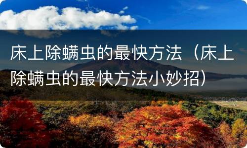 床上除螨虫的最快方法（床上除螨虫的最快方法小妙招）
