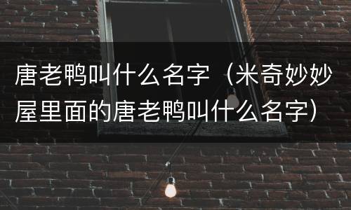 唐老鸭叫什么名字（米奇妙妙屋里面的唐老鸭叫什么名字）