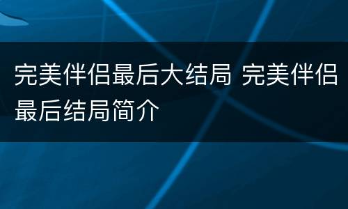 完美伴侣最后大结局 完美伴侣最后结局简介