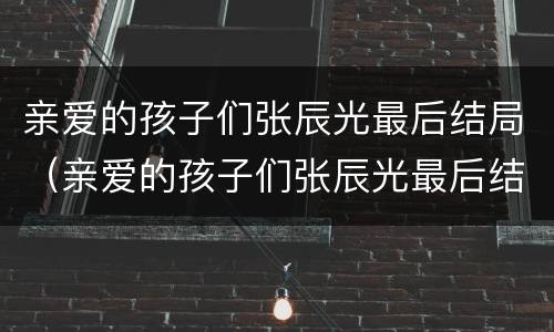 亲爱的孩子们张辰光最后结局（亲爱的孩子们张辰光最后结局如何）