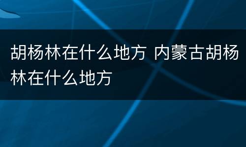 胡杨林在什么地方 内蒙古胡杨林在什么地方