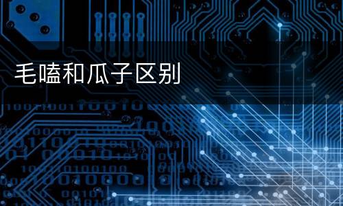 毛嗑和瓜子区别