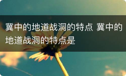 冀中的地道战洞的特点 冀中的地道战洞的特点是