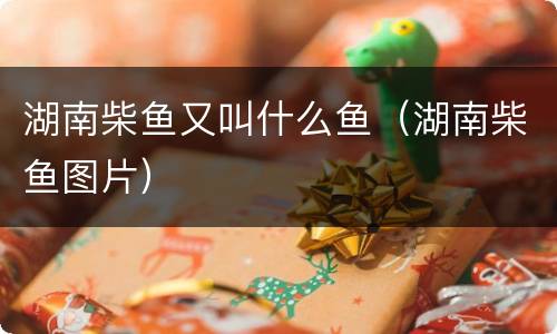 湖南柴鱼又叫什么鱼（湖南柴鱼图片）