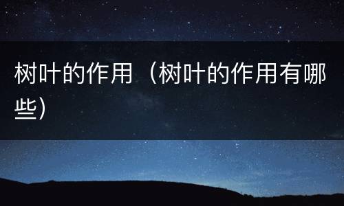 树叶的作用（树叶的作用有哪些）