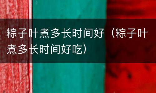 粽子叶煮多长时间好（粽子叶煮多长时间好吃）