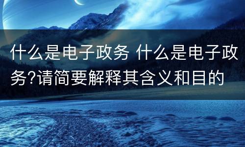 什么是电子政务 什么是电子政务?请简要解释其含义和目的