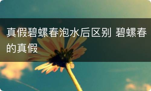 真假碧螺春泡水后区别 碧螺春的真假