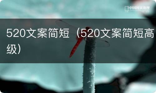 520文案简短（520文案简短高级）