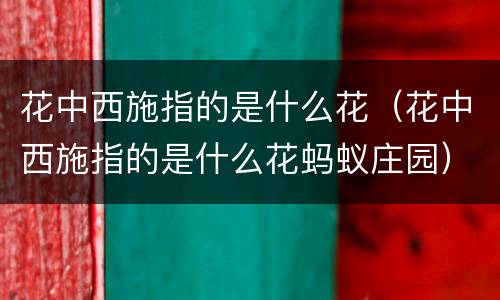花中西施指的是什么花（花中西施指的是什么花蚂蚁庄园）