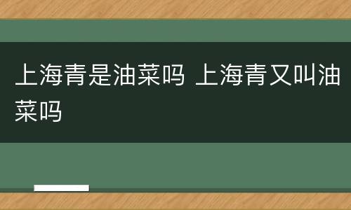 上海青是油菜吗 上海青又叫油菜吗