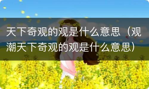 天下奇观的观是什么意思（观潮天下奇观的观是什么意思）