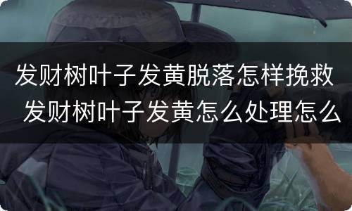 发财树叶子发黄脱落怎样挽救 发财树叶子发黄怎么处理怎么补救
