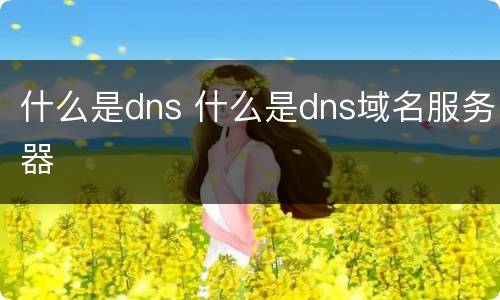 什么是dns 什么是dns域名服务器