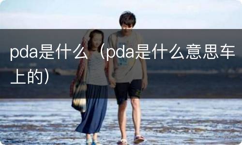 pda是什么（pda是什么意思车上的）