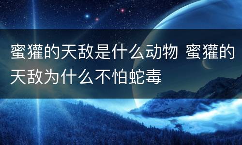 蜜獾的天敌是什么动物 蜜獾的天敌为什么不怕蛇毒